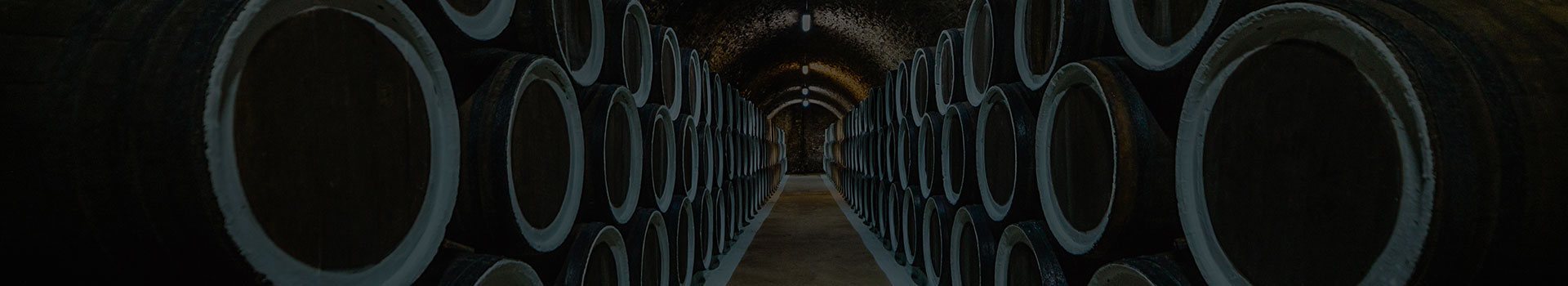 Bodegas en venta en España